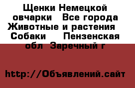 Щенки Немецкой овчарки - Все города Животные и растения » Собаки   . Пензенская обл.,Заречный г.